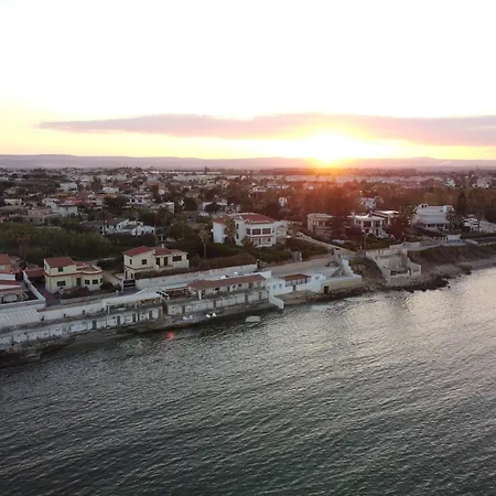 Vivimar *